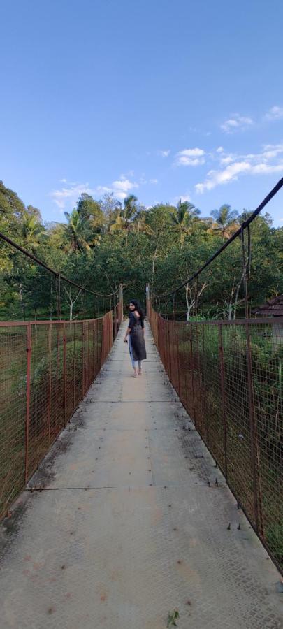 Swastha Plantation Homestay Kaniyāmbetta Extérieur photo